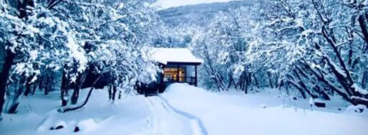 Cabins Llanos del Castor