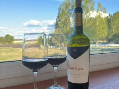 Cabañas Cabañas Costa de Anzorena