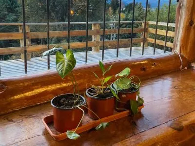 Cabins Casa SC en Bariloche