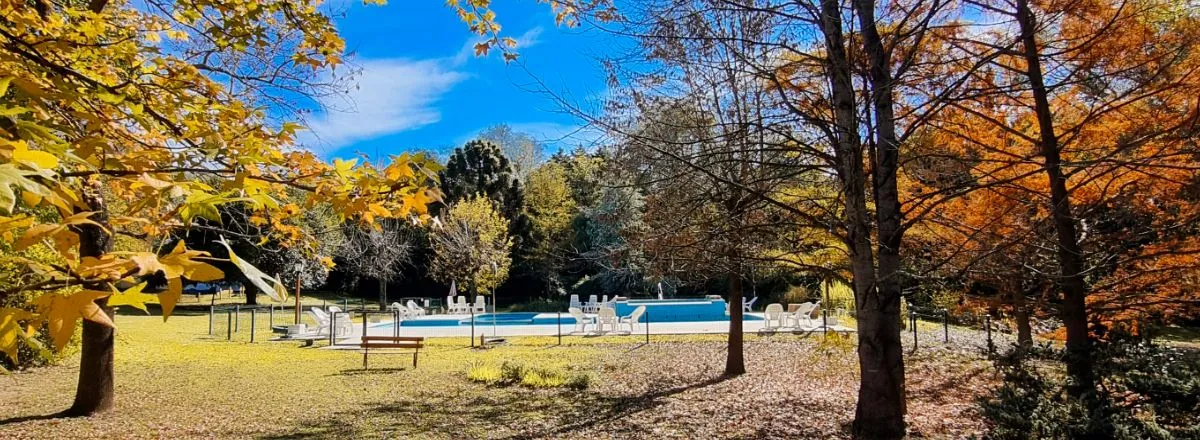 Cabins Cabañas Am Bach