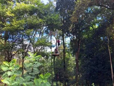 Travel and Tourist Agency Canopyng Iguazu