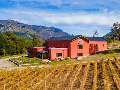 Patagonian Wines Wine Makers  in  Lago Puelo
