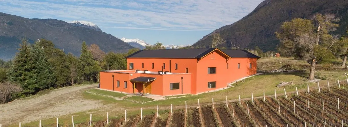 Bodegas Patagonian Wines