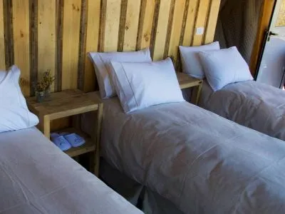 Domos y Glamping Huemules Domos