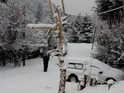 Tourist Properties Rental Sequi tiny house