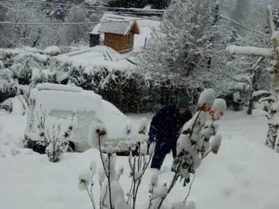 Tourist Properties Rental Sequi tiny house