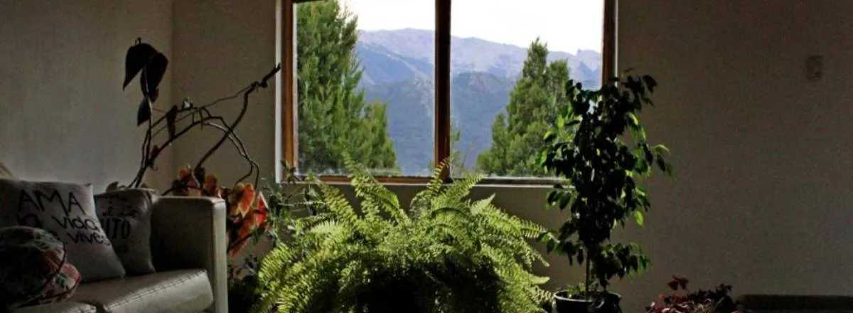 Tourist Properties Rental Rafiki House