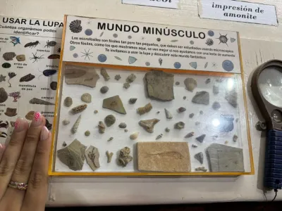 Museos Museo Paleontológico Bariloche