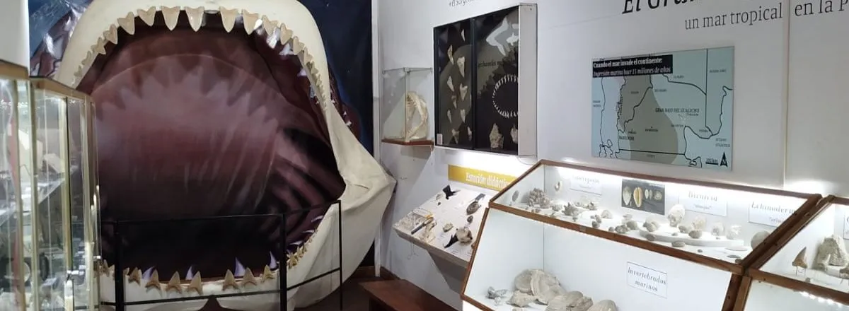 Museos Museo Paleontológico Bariloche