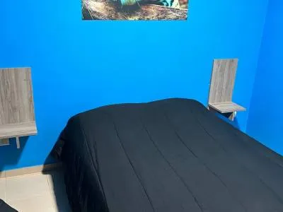 Apartments Departamentos Selva