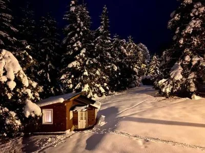 Casa Silvestre Alquiler temporario  en  Villa La Angostura