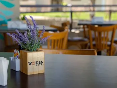 Hoteles Wooden Hotel