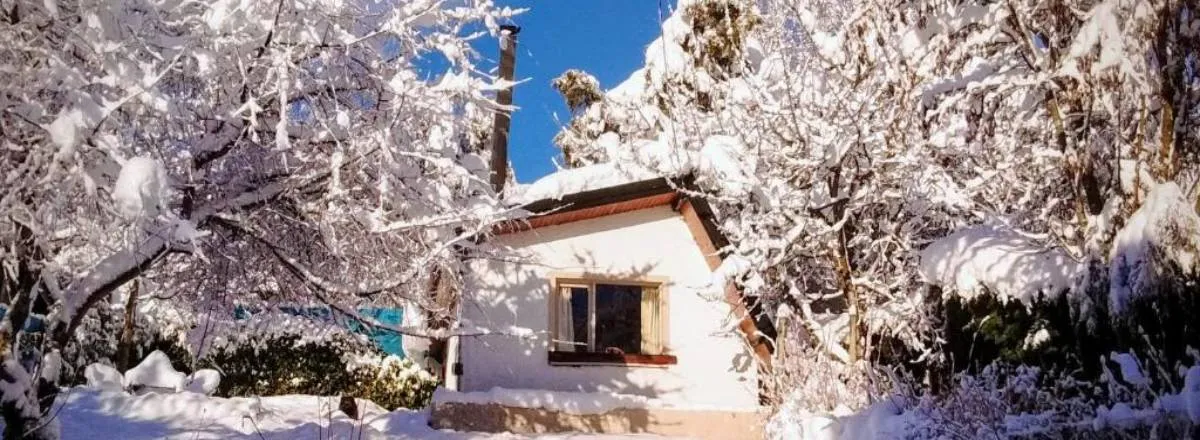 Cabins Cabaña con vista al Lago en Melipal