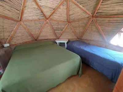 Domos y Glamping Casa Árbol Domos