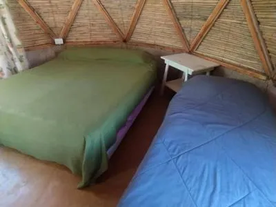 Domos y Glamping Casa Árbol Domos