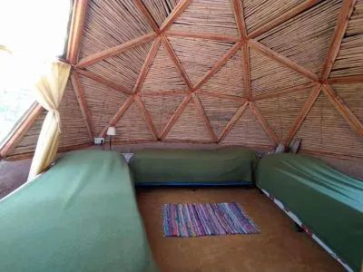 Domos y Glamping Casa Árbol Domos
