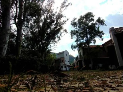 Cabañas 2 estrellas Arboleda de Antaño