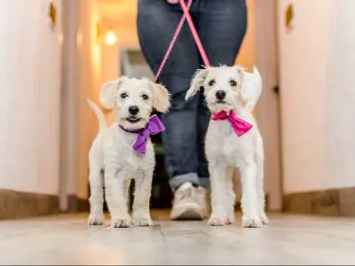 3-star Hotels Hotel La Reina