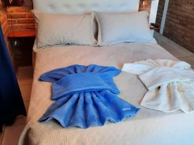 Short Term Apartment Rentals Departamentos Los Álamos