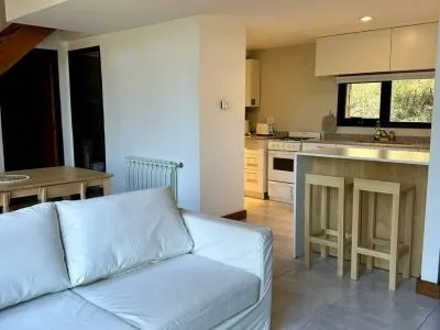 Temporary rental Departamento Epulafquen