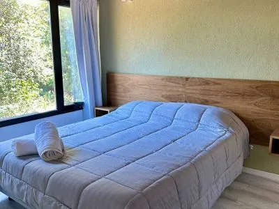 Temporary rental Departamento Epulafquen