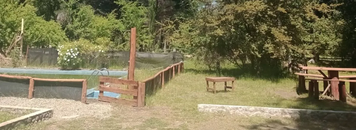 Albergues/Hostels Albergue Gaia