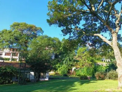 Hotels Selva Montana