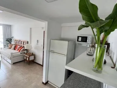 Departamentos de alquiler temporario Departamento San Martin