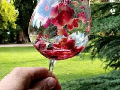 Inns La Bignonia Posada