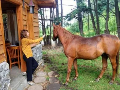 Cabañas 1 estrella La Linda