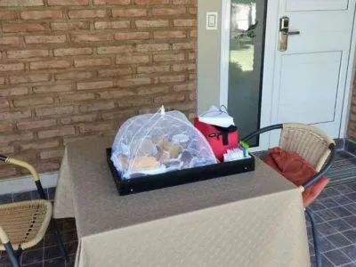 Cabins Al Rio Suites