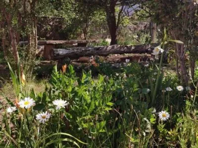 Lodgings El Hogar de Tita