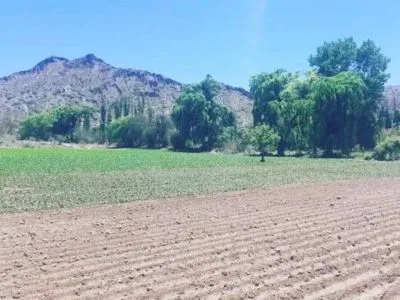 Cabañas Cabañas Florcita de Cardón