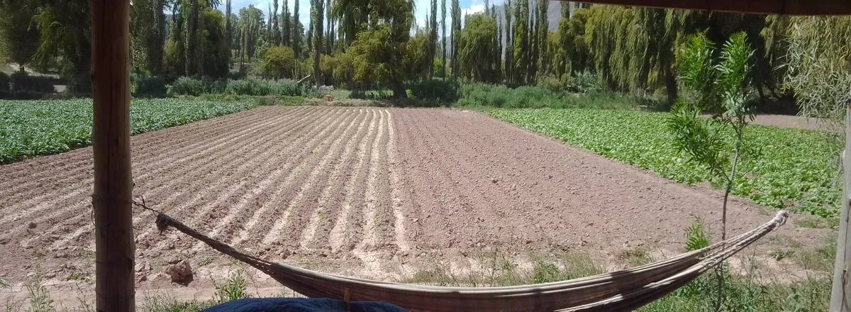 Cabañas Cabañas Florcita de Cardón