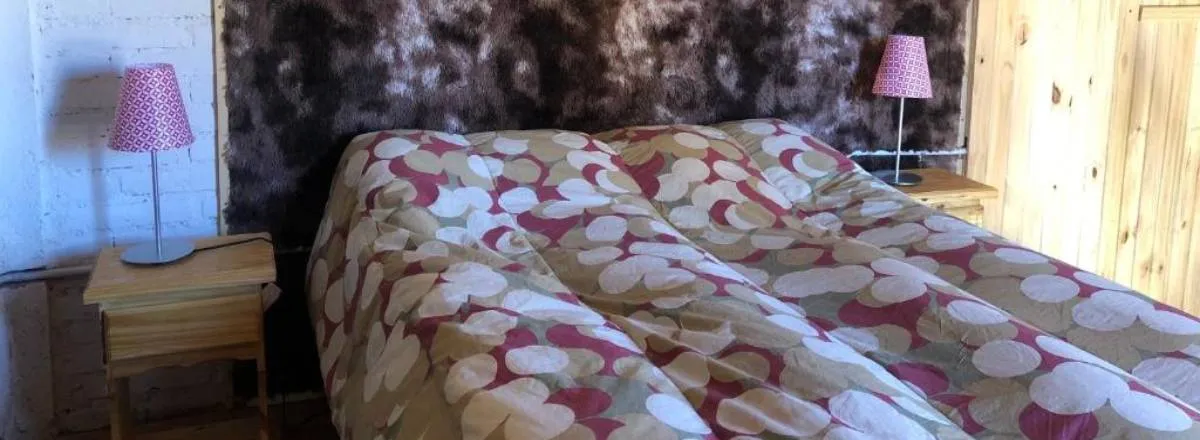 Cabañas Solanas de Uspallata