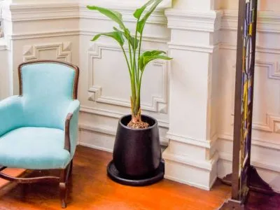 Apartments Casa Tacuarí