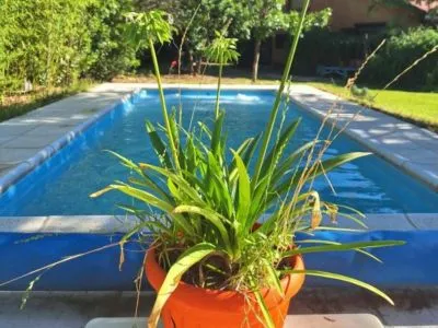 Luz de Cabaña Cabañas  en  Carpintería