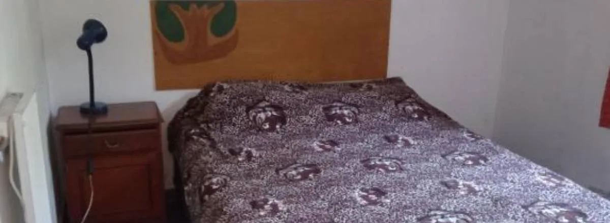 Cabañas Bosquecito de Carpin