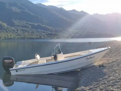 Paseos Lacustres Rental Náutico 7 Lagos