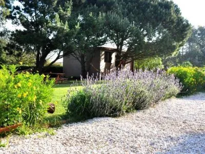 Cabins Cabañas La Lucinda Campo y Mar
