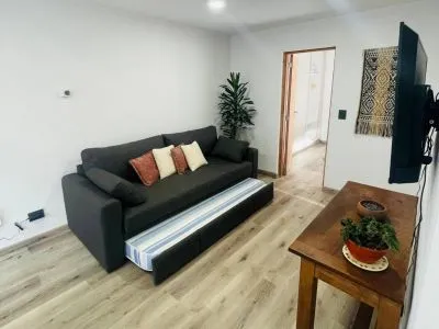 Departamentos Raiz Sureña