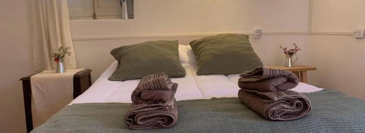 Boarding-houses Buena Vista Hostel