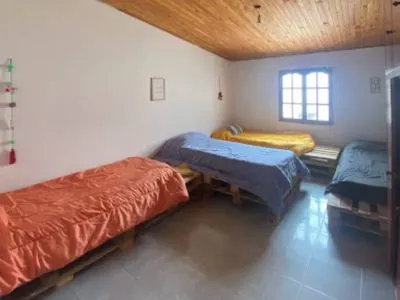 Hostales Hostel Pancha la Vida