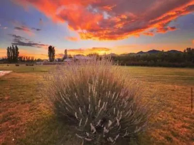 Cabins Complejo Rio los Patos 