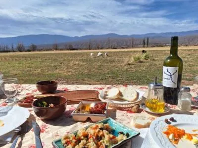 Finca Nocce Restaurantes  en  Calingasta