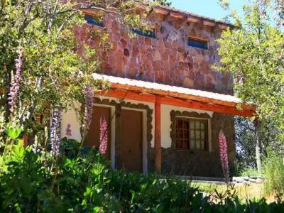 Cabañas Newen Mahuida Cabañas  en  Villa Pehuenia