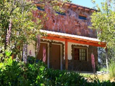 Newen Mahuida Temporary rental  in  Villa Pehuenia