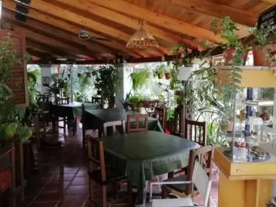 Adelita Restaurante Restaurants  in  Alta Gracia