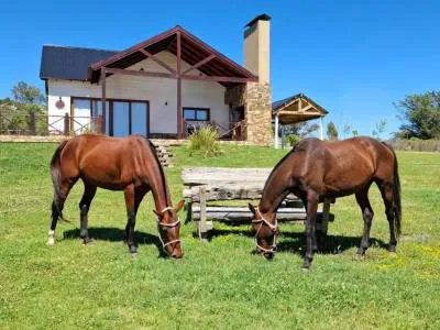 3-star Cabins Cabañas La Catalana