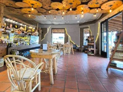 Beer Shops Don Armando